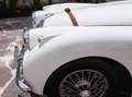 Jaguar XK XK 150 OTS Blanc - thumbnail 14