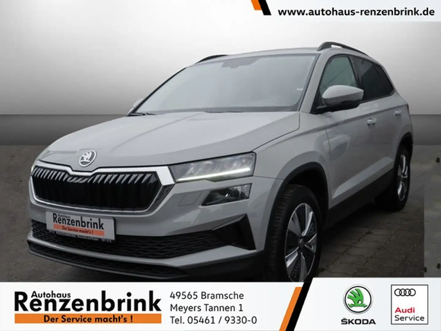 Skoda Karoq 2.0 TDI Ambition DSG 4x4 LED+RFK+ACC+NAVI Gris - 1
