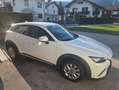 Mazda CX-3 CX-3 G120 Challenge Challenge Weiß - thumbnail 4