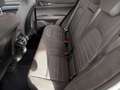 Alfa Romeo Stelvio Stelvio 2.2 Turbodiesel 190 CV AT8 Q4 Business - thumbnail 10