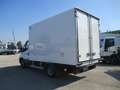 Iveco Daily 35C15 3000 150CV GANCI CARNE+BRACCIO GRU ATP 8/28 Bianco - thumbnail 7