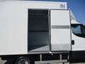 Iveco Daily 35C15 3000 150CV GANCI CARNE+BRACCIO GRU ATP 8/28 Bianco - thumbnail 12