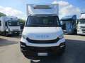 Iveco Daily 35C15 3000 150CV GANCI CARNE+BRACCIO GRU ATP 8/28 Bianco - thumbnail 3