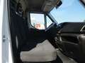 Iveco Daily 35C15 3000 150CV GANCI CARNE+BRACCIO GRU ATP 8/28 Bianco - thumbnail 14