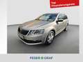 Skoda Octavia Combi Ambition TSI DSG LED Kamera AHK Beige - thumbnail 1