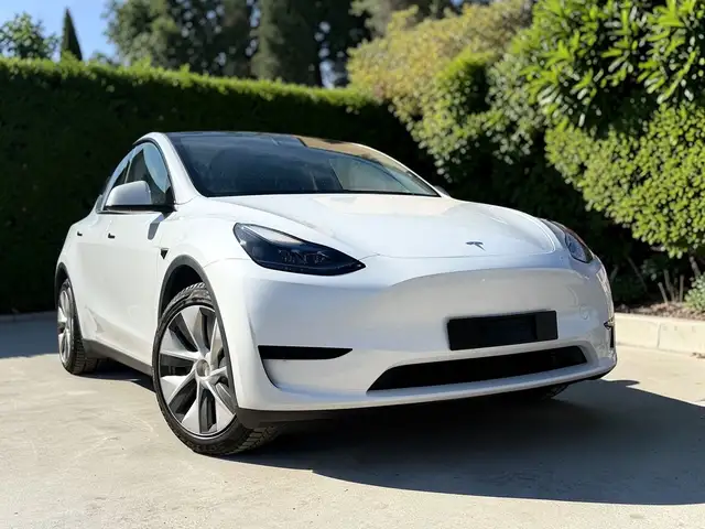 Tesla Model Y Basis RWD LED 1ERH LEDER