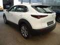 Mazda CX-30 L SKYACTIV-G 2.0 M Hybrid 6GS AL-SELECTIO Blanc - thumbnail 5