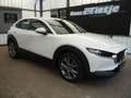 Mazda CX-30 L SKYACTIV-G 2.0 M Hybrid 6GS AL-SELECTIO Blanc - thumbnail 2