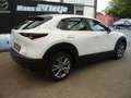 Mazda CX-30 L SKYACTIV-G 2.0 M Hybrid 6GS AL-SELECTIO Blanc - thumbnail 3