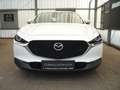 Mazda CX-30 L SKYACTIV-G 2.0 M Hybrid 6GS AL-SELECTIO Blanc - thumbnail 7