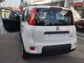 Fiat New Panda NUOVA PANDA  1000  HYBRID MYLYFE  KM10000 Bianco - thumbnail 3