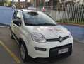 Fiat New Panda NUOVA PANDA  1000  HYBRID MYLYFE  KM10000 Bianco - thumbnail 8