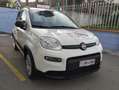 Fiat New Panda NUOVA PANDA  1000  HYBRID MYLYFE  KM10000 Bianco - thumbnail 7