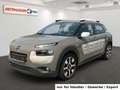 Citroen C4 Cactus 1.2 PureTech AAC PDC SHZ Braun - thumbnail 1