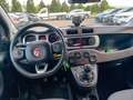 Fiat Panda 4x4 0.9 t.air t. 90CV Cross E6 Grigio - thumbnail 11