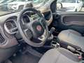 Fiat Panda 4x4 0.9 t.air t. 90CV Cross E6 Grigio - thumbnail 10
