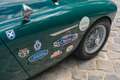 Austin-Healey 100 /4 BN1 FIA Grün - thumbnail 21