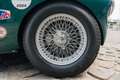Austin-Healey 100 /4 BN1 FIA Grün - thumbnail 23