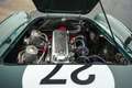 Austin-Healey 100 /4 BN1 FIA Grün - thumbnail 42