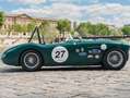 Austin-Healey 100 /4 BN1 FIA Grün - thumbnail 7