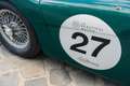 Austin-Healey 100 /4 BN1 FIA Grün - thumbnail 27
