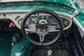 Austin-Healey 100 /4 BN1 FIA Grün - thumbnail 39