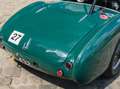 Austin-Healey 100 /4 BN1 FIA Grün - thumbnail 29