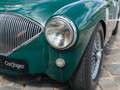 Austin-Healey 100 /4 BN1 FIA Grün - thumbnail 12
