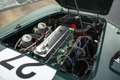 Austin-Healey 100 /4 BN1 FIA Grün - thumbnail 41