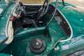 Austin-Healey 100 /4 BN1 FIA Grün - thumbnail 37