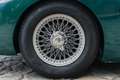 Austin-Healey 100 /4 BN1 FIA Grün - thumbnail 22