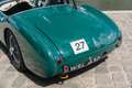 Austin-Healey 100 /4 BN1 FIA Grün - thumbnail 30