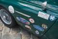 Austin-Healey 100 /4 BN1 FIA Grün - thumbnail 19