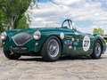 Austin-Healey 100 /4 BN1 FIA Grün - thumbnail 3