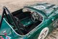 Austin-Healey 100 /4 BN1 FIA Grün - thumbnail 31