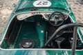 Austin-Healey 100 /4 BN1 FIA Grün - thumbnail 35