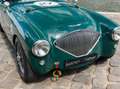 Austin-Healey 100 /4 BN1 FIA Grün - thumbnail 10