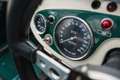 Austin-Healey 100 /4 BN1 FIA Grün - thumbnail 40