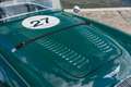 Austin-Healey 100 /4 BN1 FIA Grün - thumbnail 17