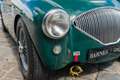 Austin-Healey 100 /4 BN1 FIA Grün - thumbnail 11