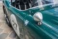 Austin-Healey 100 /4 BN1 FIA Grün - thumbnail 20