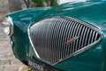 Austin-Healey 100 /4 BN1 FIA Grün - thumbnail 14