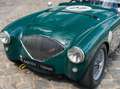 Austin-Healey 100 /4 BN1 FIA Grün - thumbnail 13