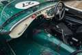 Austin-Healey 100 /4 BN1 FIA Grün - thumbnail 38