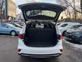 Hyundai Grand Santa Fe blue Premium 4WD Aut Pano 6 Sitze Blanco - thumbnail 36