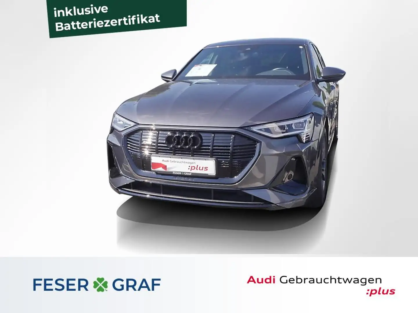 Audi e-tron S line 50 quattro Kamera AIR LED Navi 20" Grau - 1