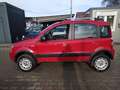 Fiat Panda 1.2 8V 4x4 + EURO 5 Rot - thumbnail 6