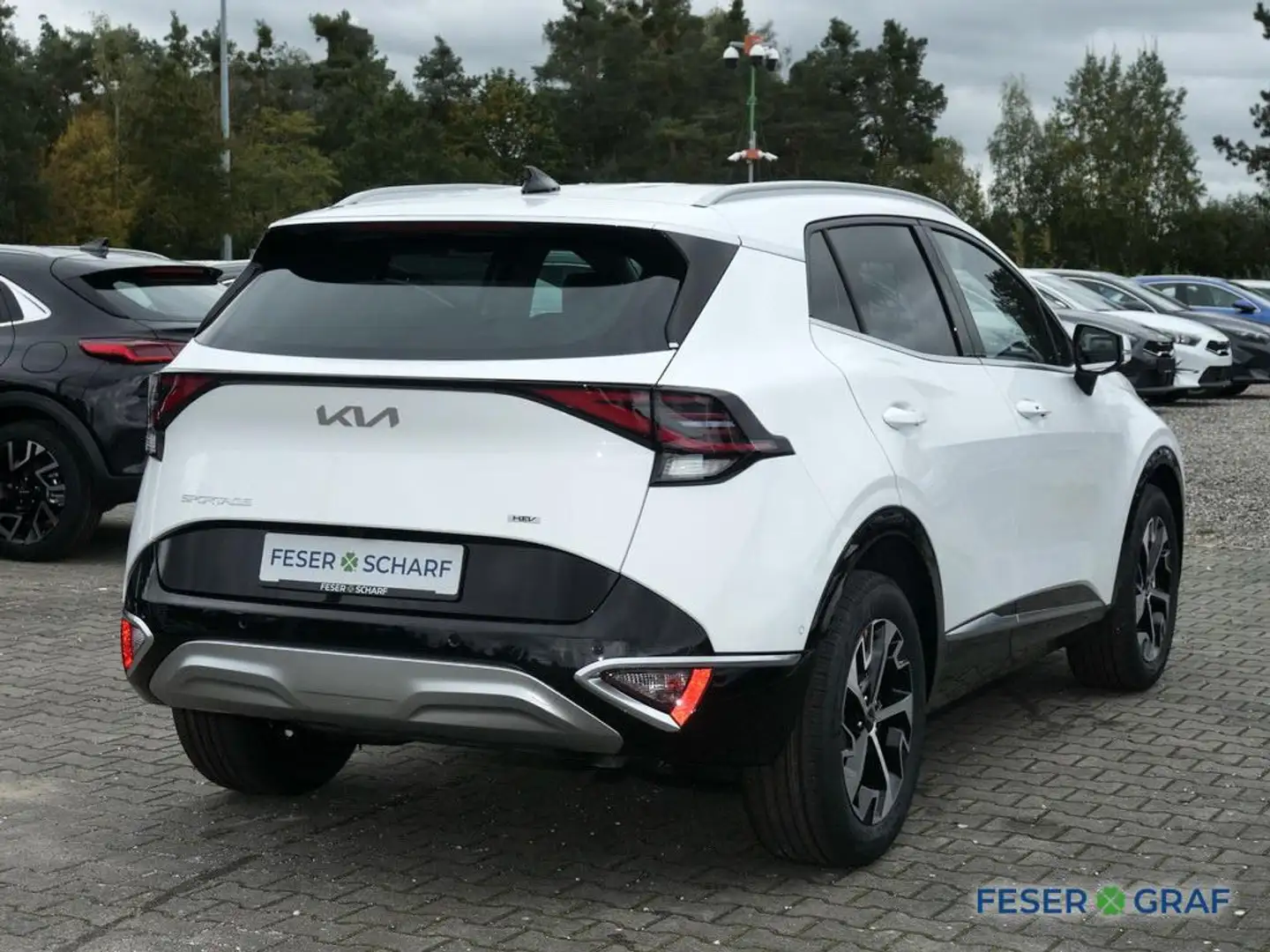 Kia Sportage 1.6T HEV AWD SPIRIT DRIVE 360° Blanc - 2