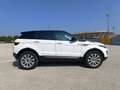 Land Rover Range Rover Evoque 5p 2.0 td4 HSE Dynamic 150cv Bianco - thumbnail 5