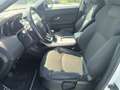 Land Rover Range Rover Evoque 5p 2.0 td4 HSE Dynamic 150cv Bianco - thumbnail 8